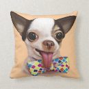 Suche nach schnell kissen Hund