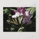 Suche nach rhododendron postkarten Blume