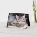 Suche nach mürrisch karten Katze