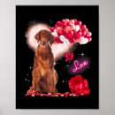 Suche nach irish setter poster Irisch