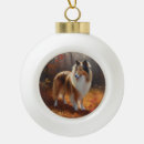 Suche nach rauer collie ornamente Haustier