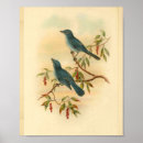 Suche nach vintage druck poster Blau