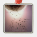 Suche nach ei ornamente Fruchtbar