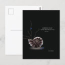 Suche nach autoren postkarten Customer