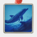 Suche nach tümmler ornamente Delfin