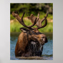 Suche nach glacier nationalpark poster Montana