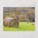 Suche nach heuballen postkarten Landschaft