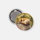 Suche nach baumstumpf wohnen zuhause Fuchs