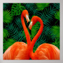Suche nach flamingo poster Dschungel