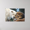Suche nach lion leinwandbilder Katzen