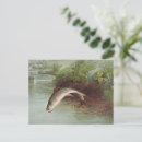 Suche nach forellen postkarten Bachforelle