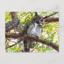 Suche nach hornhaut poster Wildtiere