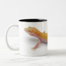 Suche nach gecko tassen Wild