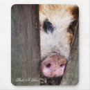 Suche nach schwein mousepads Spaß