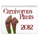 Suche nach pflanze kalender Blume
