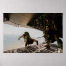 Suche nach fallschirme poster Skydive