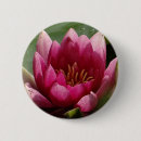 Suche nach wasserlilie buttons Natur