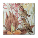 Suche nach orchideen fliesen Regenwald