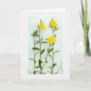 Suche nach vintage botanik karten Blumen