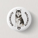 Suche nach malamute Aquarell