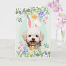 Suche nach osterfest karten Ostereier