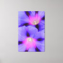 Suche nach weinrebe leinwandbilder Blume
