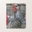 Suche nach hahn puzzle Vogel