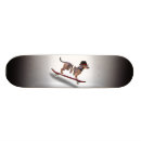 Suche nach lustiger hund skaten Skater