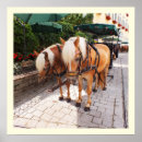 Suche nach carriage poster Horses