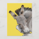 Suche nach donkey postkarten Grau
