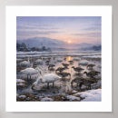 Suche nach vogel im winter poster Winterlandschaft