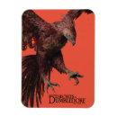 Suche nach dürer magnete Zaubernde welt