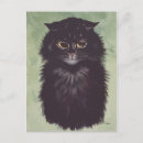 Suche nach persische katze postkarten Haustiere