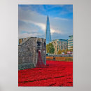 Suche nach red poppies poster Mohn