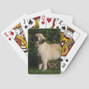 Suche nach profil spielkarten Dog