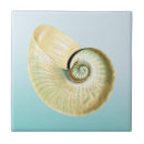 Suche nach nautilus fliesen Ozean