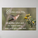 Suche nach hummingbird poster Kolibris