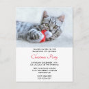 Suche nach weihnachtsmannmützen postkarten Kitty