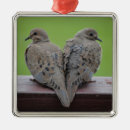 Suche nach liebevögel ornamente Vogelbeobachtung
