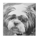 Suche nach shih tzu fliesen Tiere