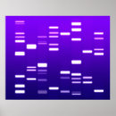 Suche nach genetik poster Dna