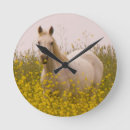 Suche nach fotograf wanduhren Field