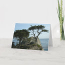 Suche nach zypressen karten Landschaft