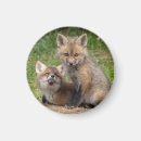 Suche nach für zwillinge magnete Tiere