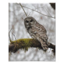 Suche nach led poster Eule