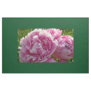 Suche nach foto stoffe Rosa