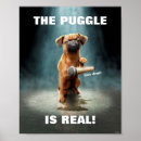 Suche nach puggle poster Haustier