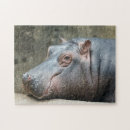 Suche nach hippopotamus puzzle Lustig