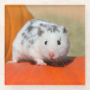Suche nach hamster untersetzer Niedlich
