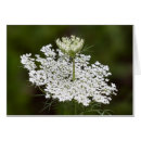 Suche nach unkraut karten Feld